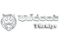 Wildcat Turkey Piercing Dövme Boyası Alanya