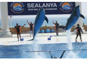 Sealanya Dolphinpark Seapark Alanya